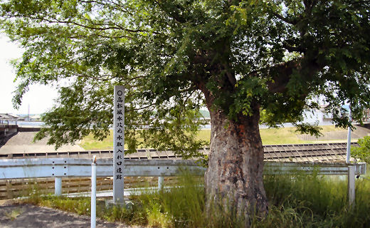 門前　高松城水攻め水取り入れ口遺跡