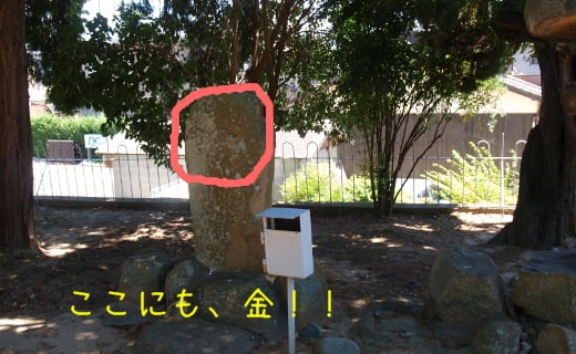 ここにも金！！