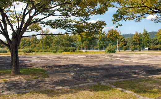 津島遺跡の水田跡