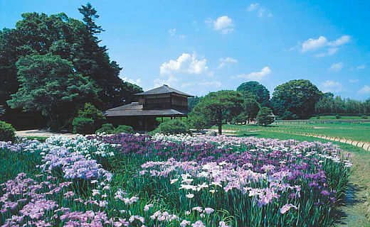 岡山後楽園