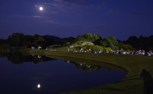 月が見れるなんて、ツキが回ってきたぞ…なんてね。