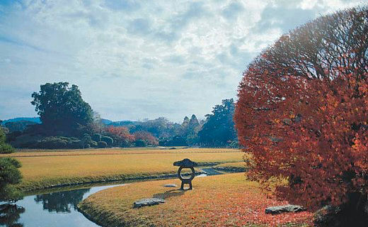 だから紅葉を見に行こうようって…。