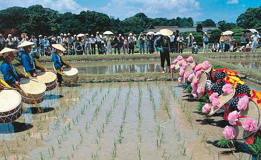 お田植え祭の様子