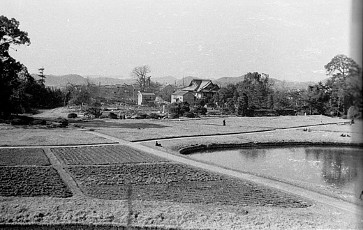 昭和21年の後楽園