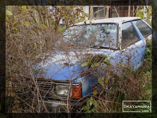 レオーネ・スイングバック