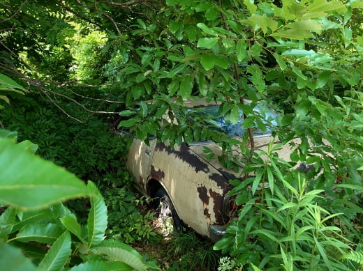 4代目ブルーバードのリアビュー