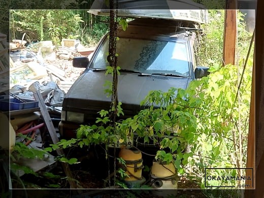 テラノ（初代）