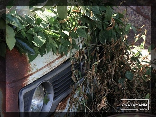 5代目ハイゼットバンの草ヒロ