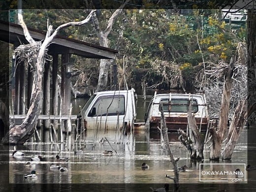 水没した軽トラック