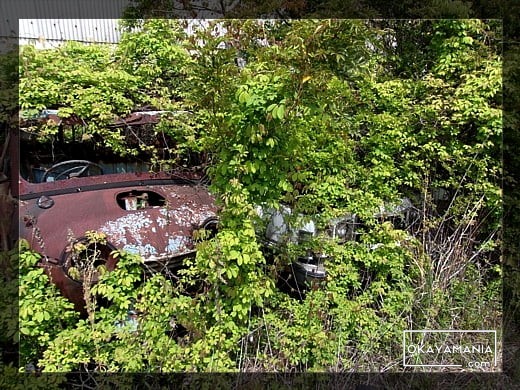 フォード・サンダーバード