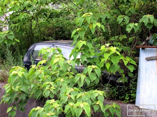 6代目ミニカバン　フロントビュー