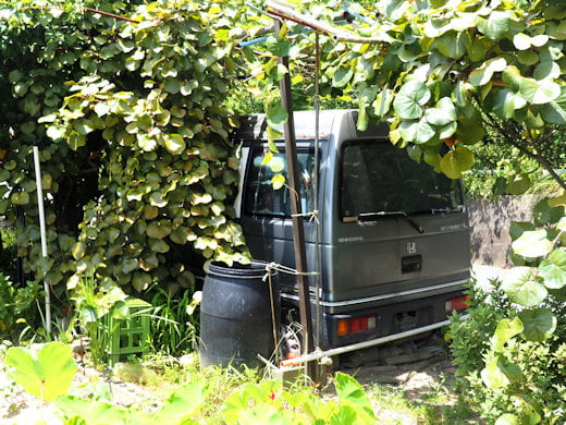 2代目ストリート　リアビュー