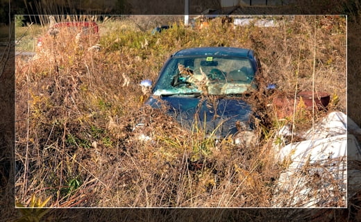 オプティクラシック