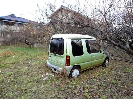 ミニカトッポ　リアビュー