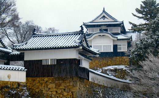 ついたよ、ここから先は有料。