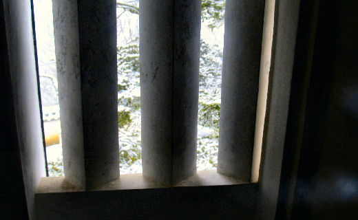 ムシャムシャ…。