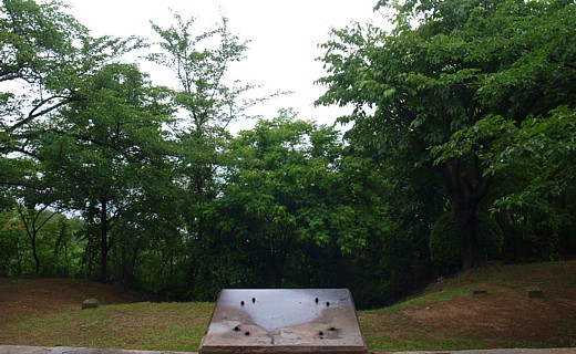 リフトの方向を見下ろす