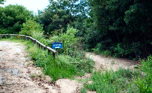 看板。右側がニコニコ岩への順路です
