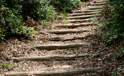 ニコニコ岩への道のり