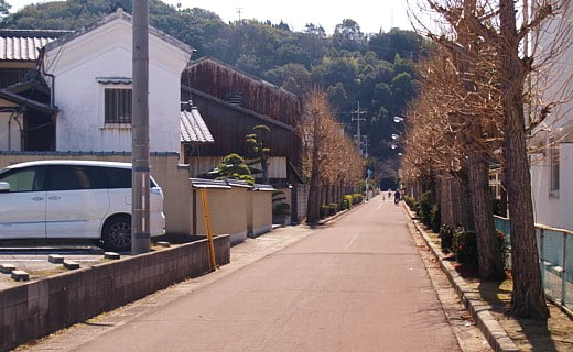 玉野市電の路線跡