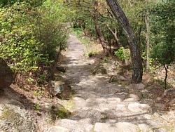 頂上から下っていく道