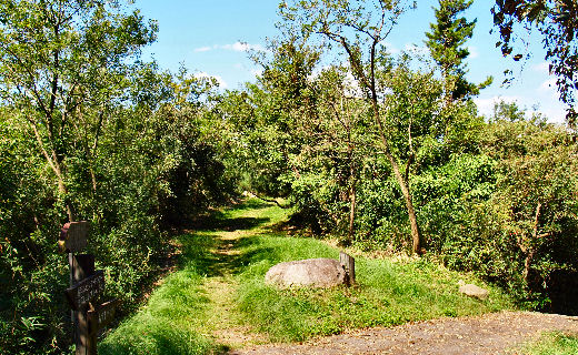 あずまやへの道