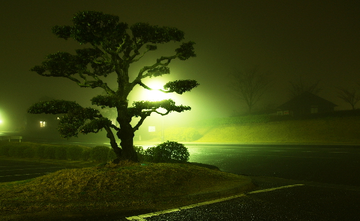 みやま公園・駐車場