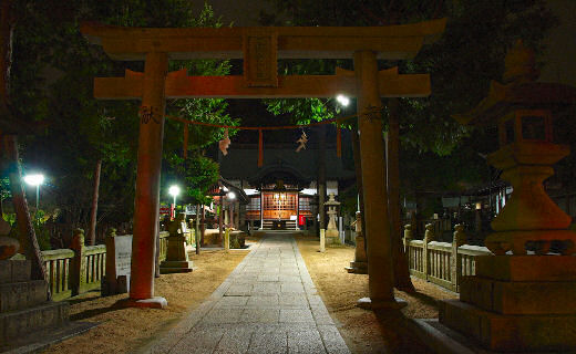 玉比咩神社・社殿
