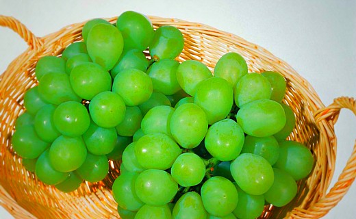 マスカット・オブ・アレキサンドリア