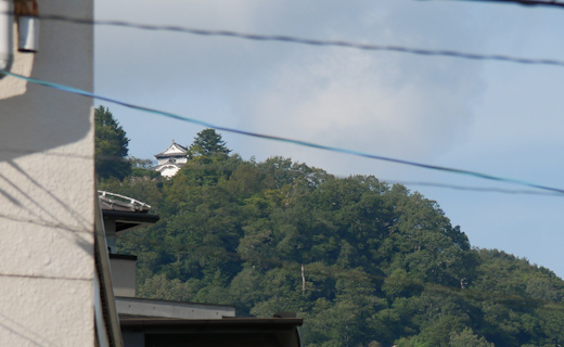 市街地から見た備中松山城の天守閣