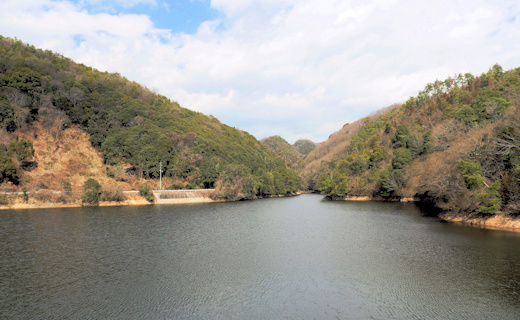 水鏡の杉谷富士