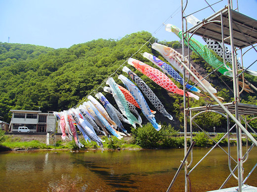 鯉のぼり