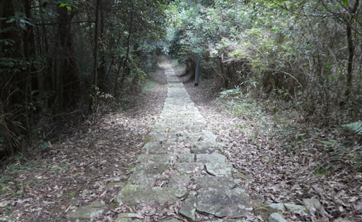 正八幡宮の階段