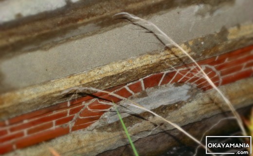 岡山水上警察署跡