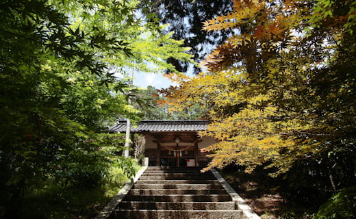 田原八幡神社