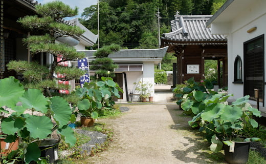 泰西寺の境内